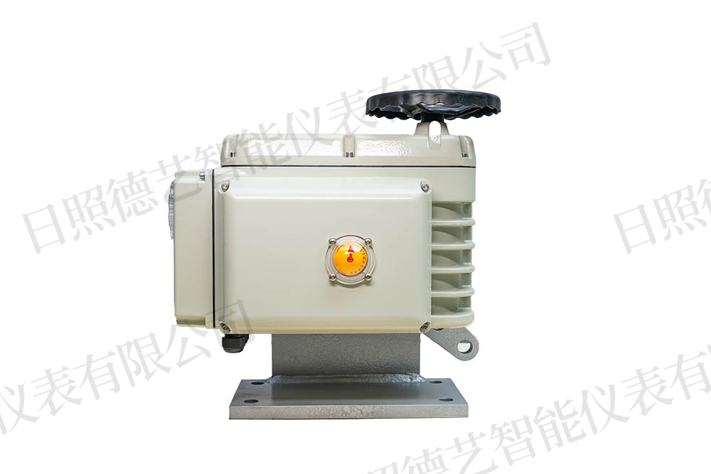 部分回转DY250电动执行机构